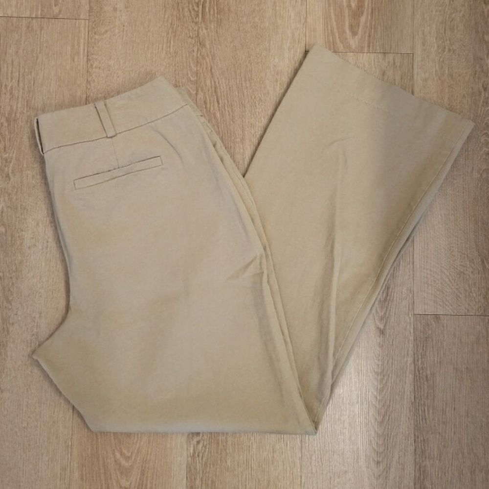 Ann Taylor Curvy Women's Trousers
